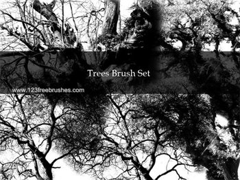Tree Silhouettes