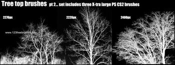 Tree Silhouettes