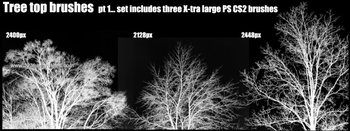 Tree Silhouettes