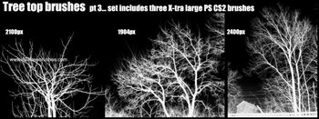 Tree Silhouettes