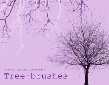 Tree Silhouettes