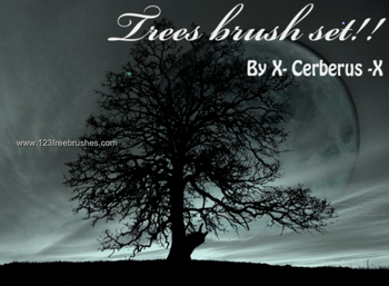 Tree Silhouettes