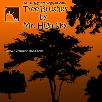 Tree Silhouettes