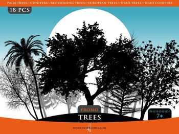 Tree Silhouettes