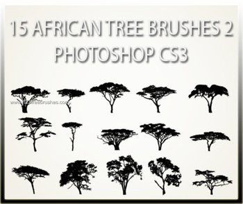 Tree Silhouettes