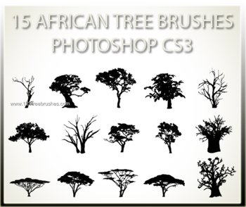 Tree Silhouettes