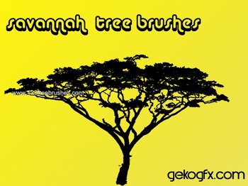 Tree Silhouettes