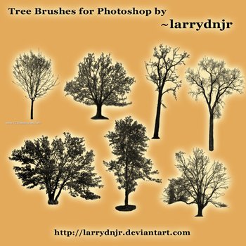 Tree Silhouettes