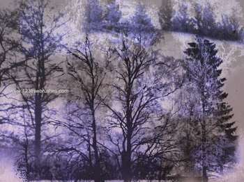 Tree Silhouettes
