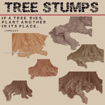 Tree Stumps