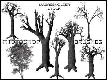 Trees