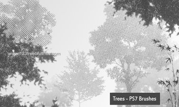 Trees
