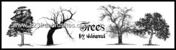Trees