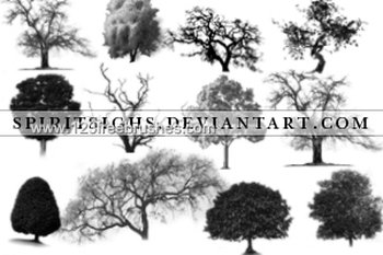 Trees
