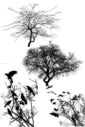 Trees