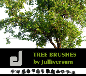 Trees