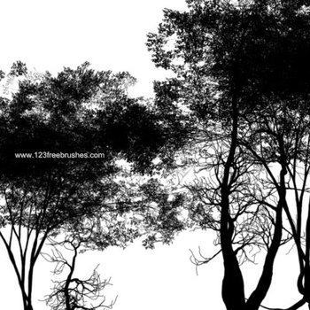 Trees and Plants