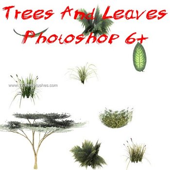 Trees – Grass and Leaves