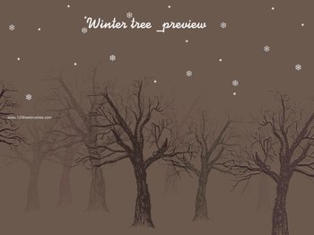 Winter Tree