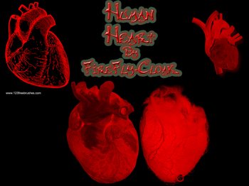 Human Heart