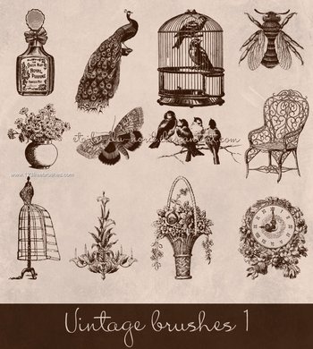 Vintage Set Peacock – Birdcage