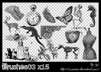 Vintage Skeleton – Butterfly – Wings – Animals