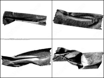 Bandages Brush Download in Photoshop