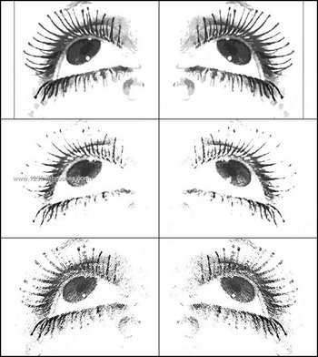 Free Eyes Brush