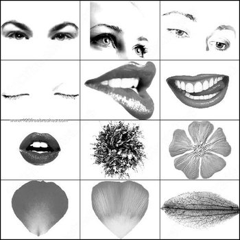Eyes – Lips and Petal Photoshop Brushes