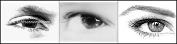 Photoshop Eyes Brush