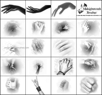 Hand Photoshop Brushes