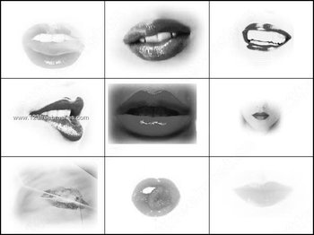 Free Lips Brush
