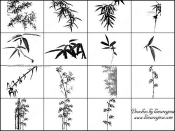 Photoshop Brushes Bamboo Leaves