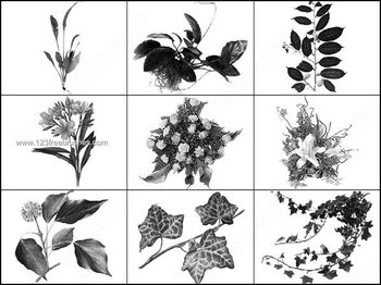 Foliage Brush for Photoshop CS