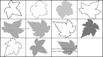 Autumn Leaves Brushes Photoshop