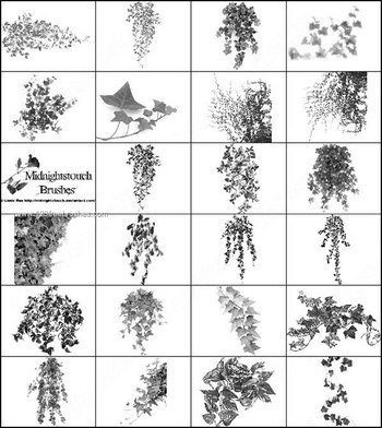 Vine Leaves Photoshop Brushes Free