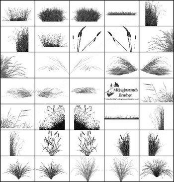 Grassland Brushes for Photoshop Free