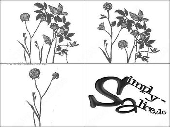Floral Brushes