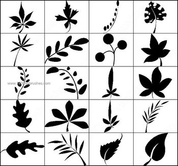 Leaf Silhouettes Brushes Photoshop