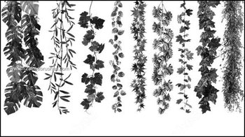 Vines Leaf Photoshop Brushes