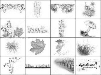 Autumn Leaves – Mushroom Photoshop Brushes