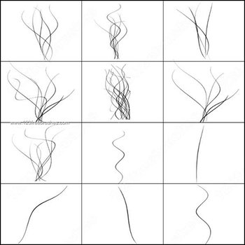 Shear Curved Line Brushes Photoshop