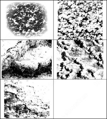 Free Texture Brushes