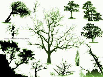 Tree Brush Photoshop Free
