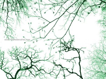 Tree Photoshop Brushes Free