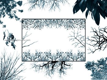 Tree Branches Brushes Nature