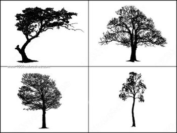 Free Tree Brushes for Photoshop